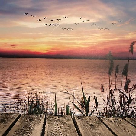 Fewo Erholsame Auszeit Neubrandenburg Bagian luar foto